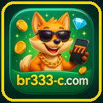 br333